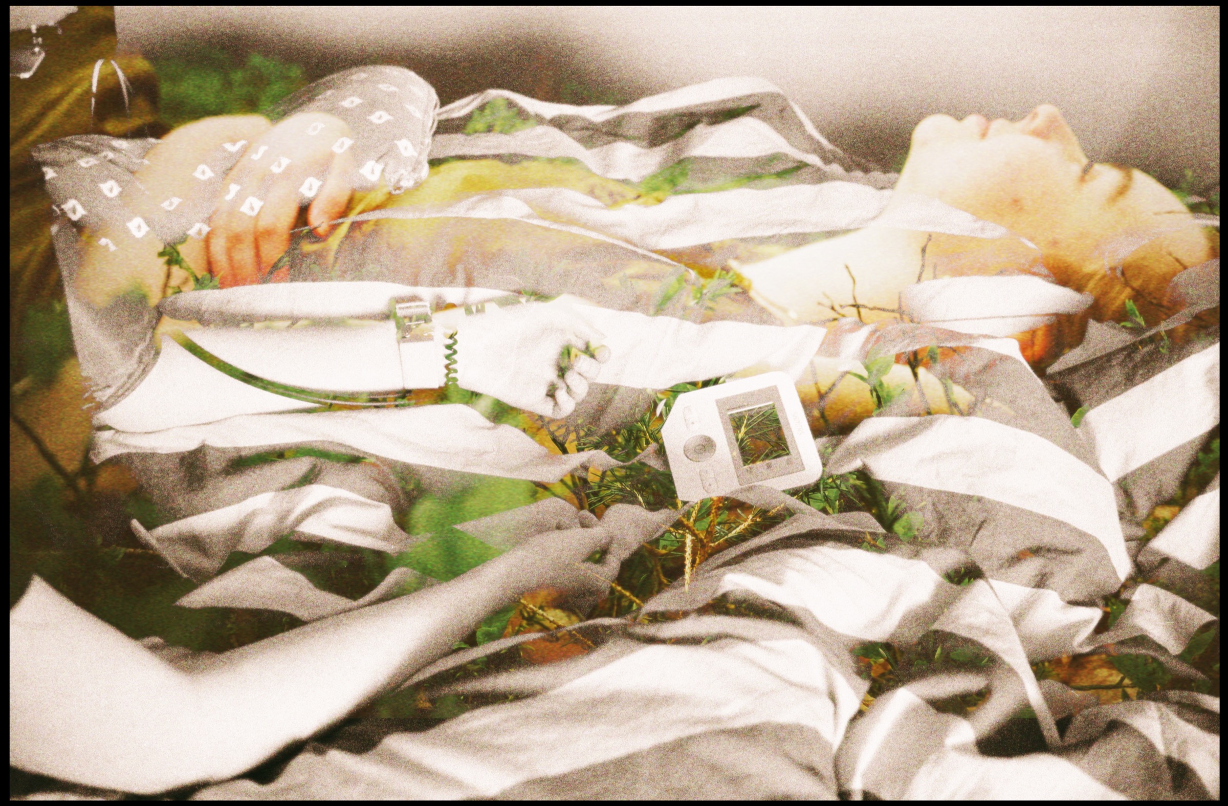 Forget me not 3